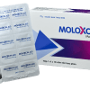 Moloxcin 400 - Hộp